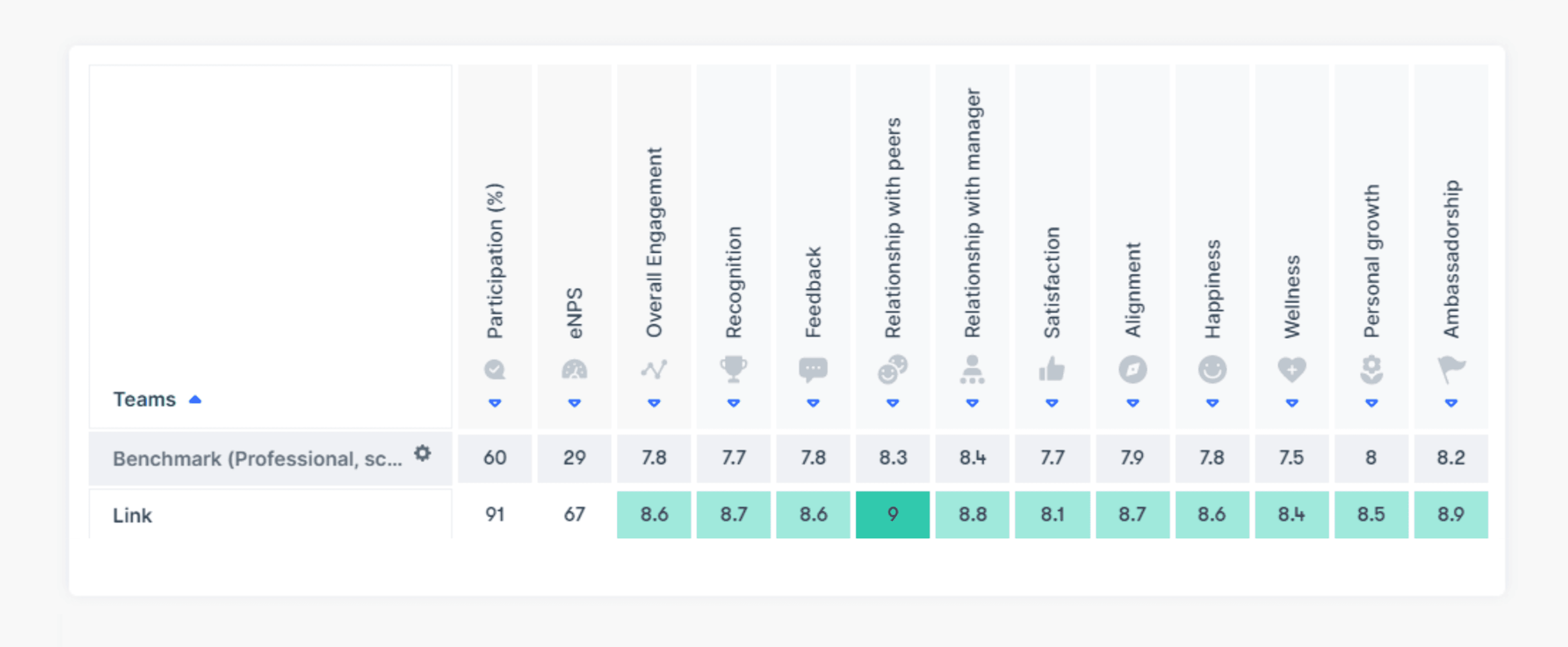 LINK scores against the professional services benchmark