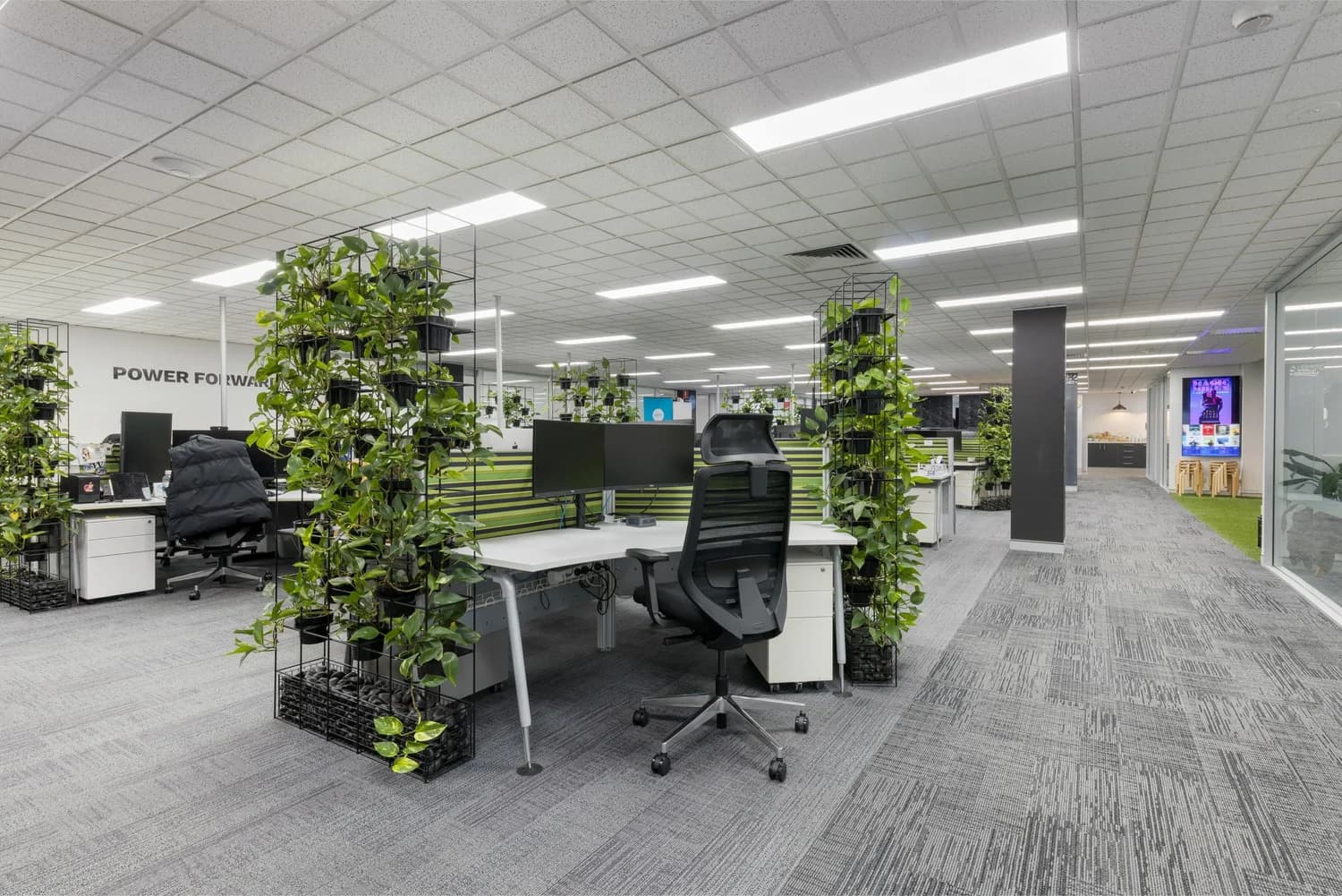 Desks with greenery on the coworking floor at LINK Coworking