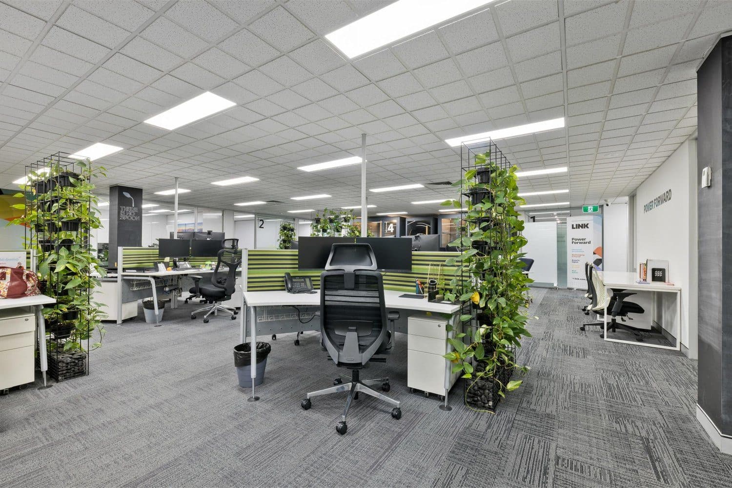 Open-plan dedicated desks with plant dividers at LINK Coworking